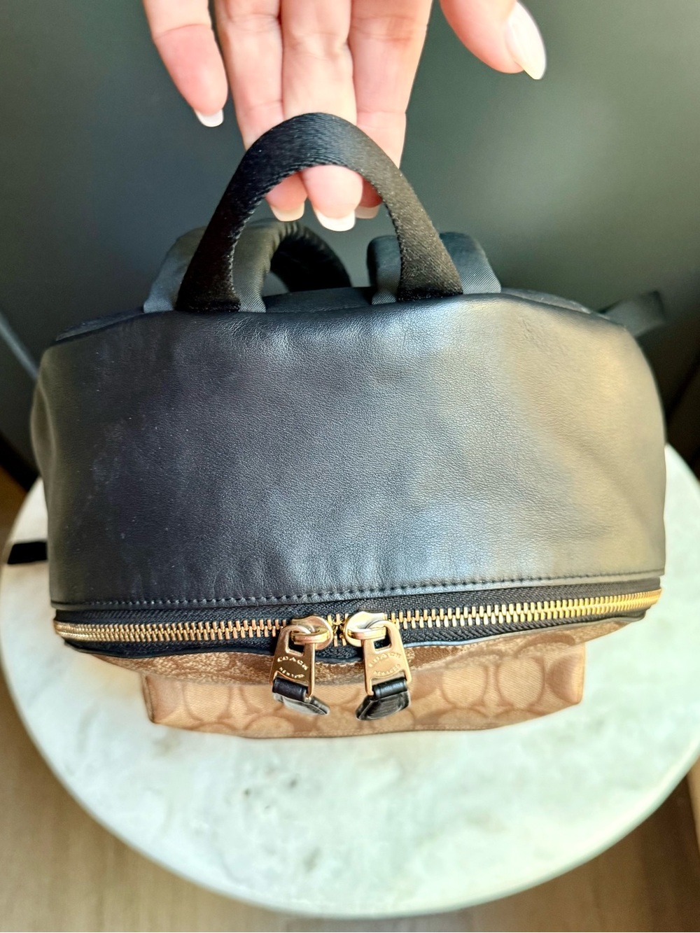 Coach Signature Medium Charlie
Backpack | Khaki/Brown | Customized
Gold Hangtag - Picture 10 of 16